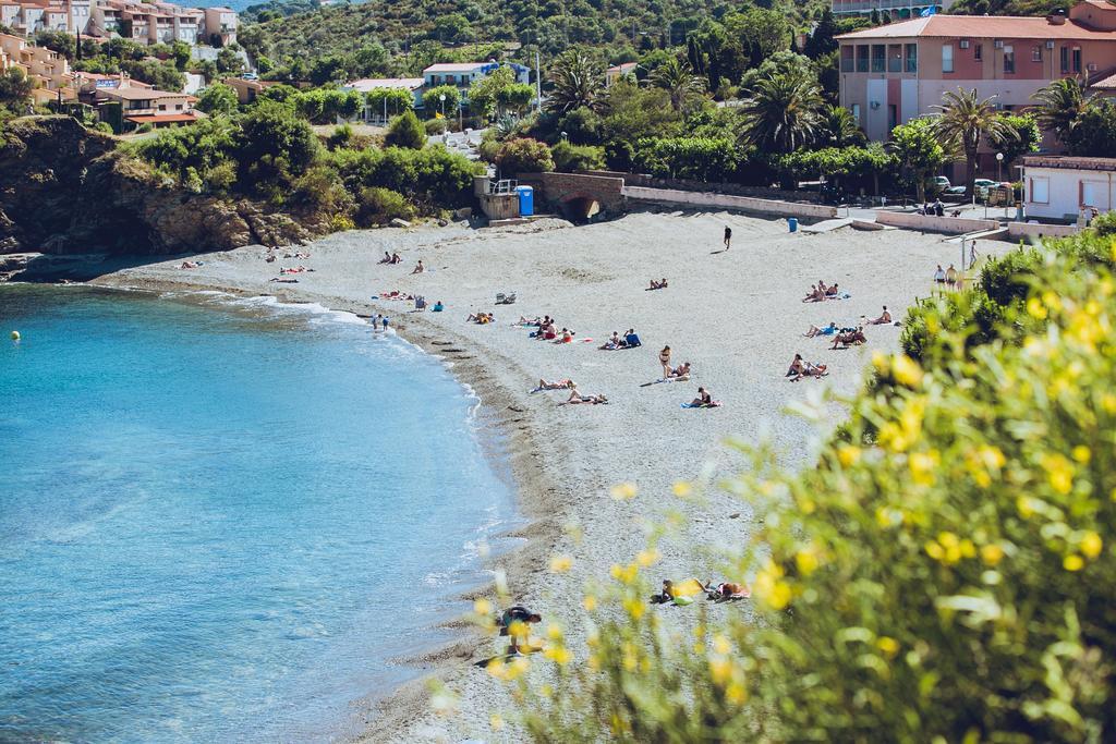 Regina'S Banyuls - Spatious Apartment Next To The Beach 外观 照片